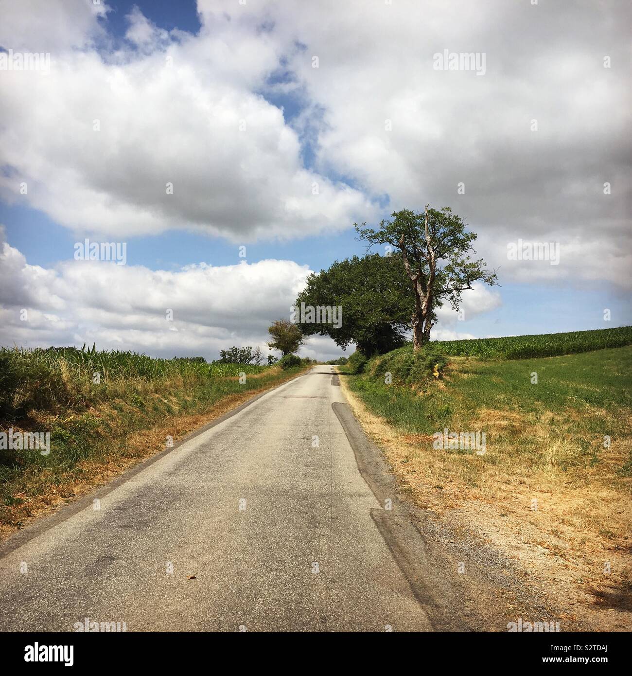 Eine kleine Landstraße in einem trockenen Bereich Landschaft im ländlichen Frankreich, Sommer - Smartphone-aufgenommenes Stockfoto