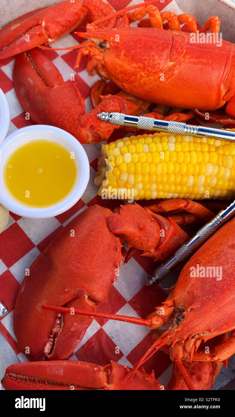 Frische Lobster Dinner Stockfoto