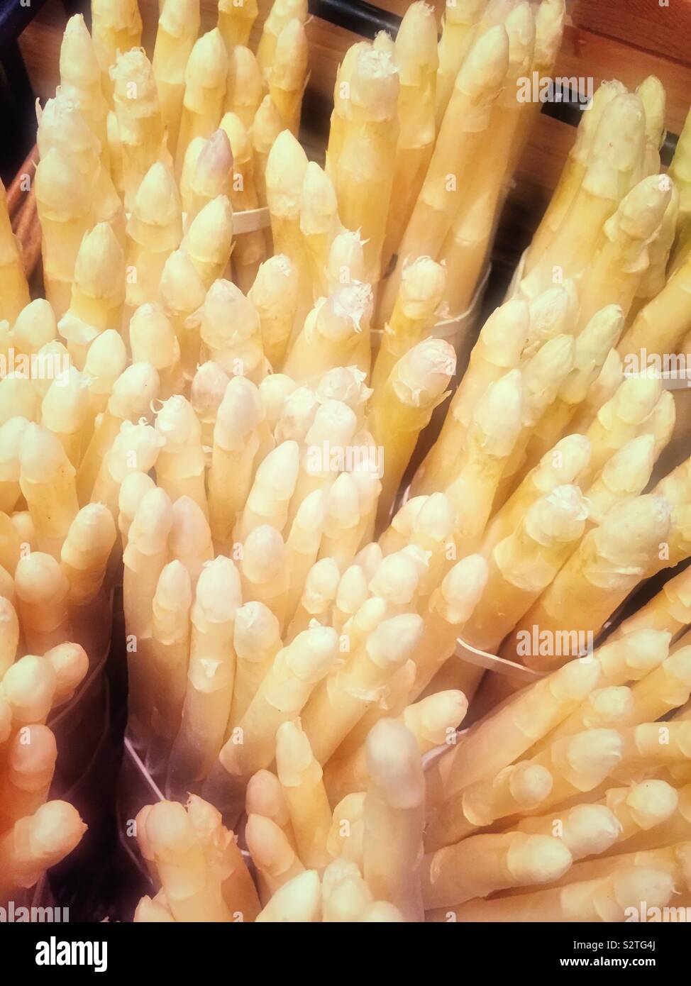 Weißer Spargel Nahaufnahme Stockfoto