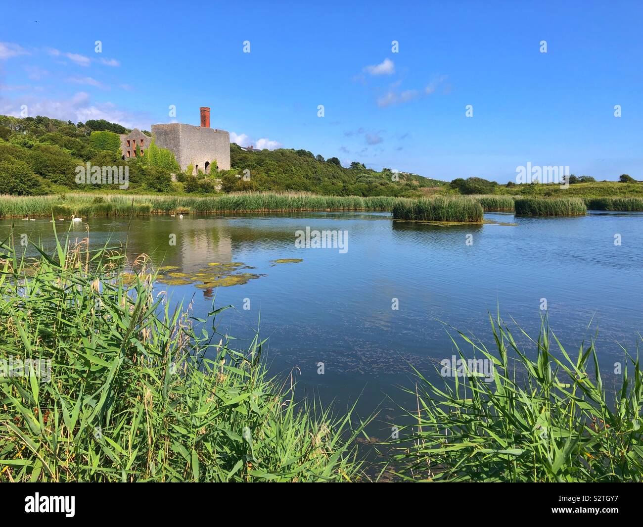 Aberthaw Kraftwerk Biodiversität, Rhoose, South Wales, Juli. Stockfoto