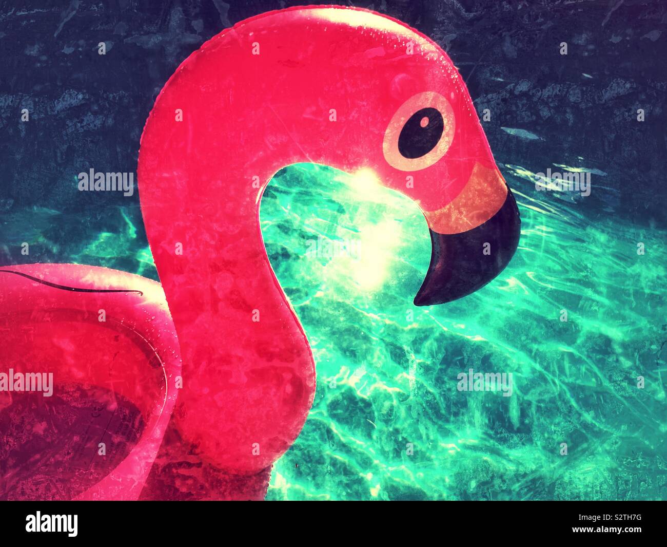 Aufblasbarer Flamingo schwimmend im Außenpool an einem heißen sonnigen Tag. Stockfoto