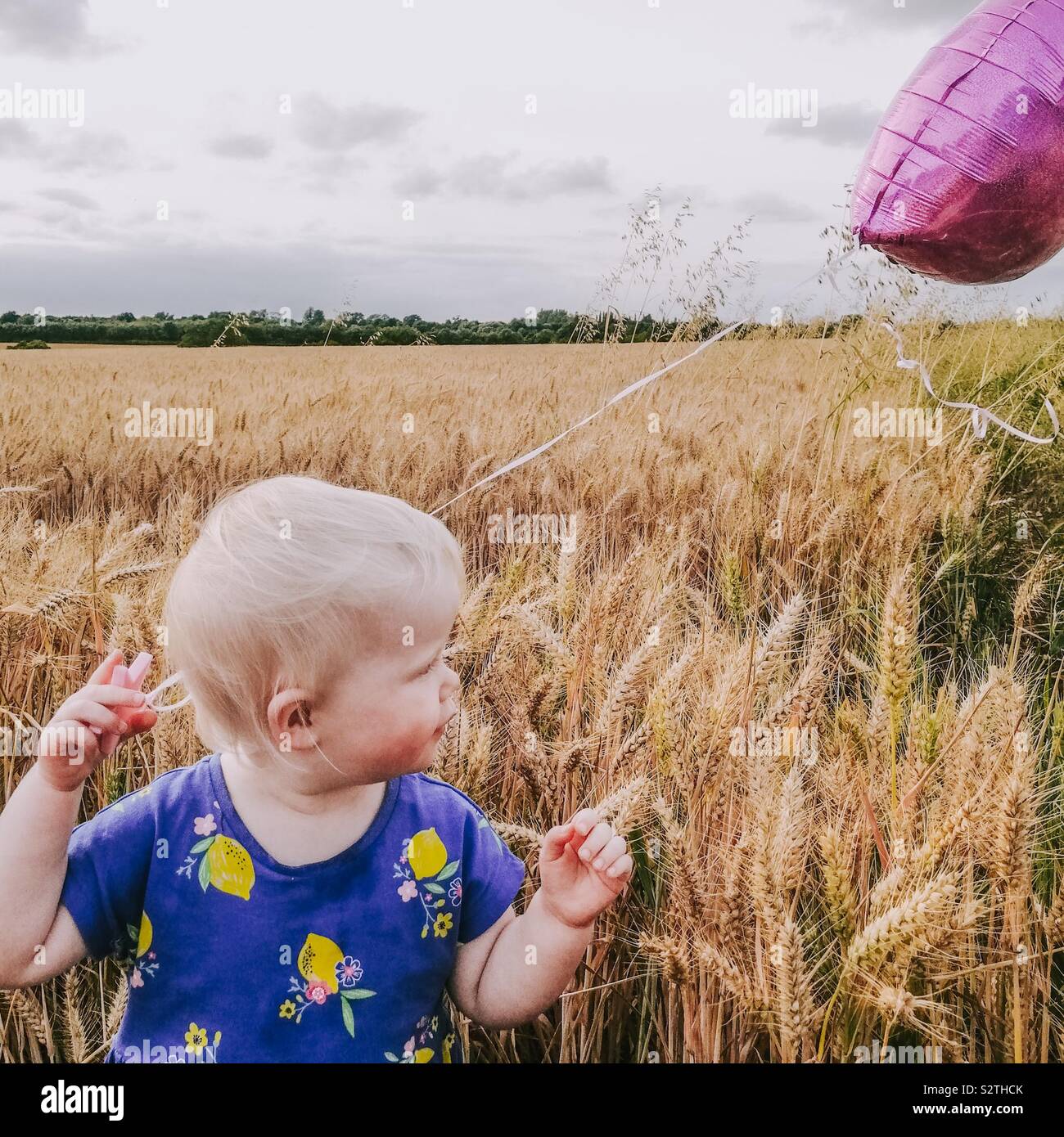 Kleine blonde Mädchen in einem Weizenfeld mit einem Rosa Ballon Stockfoto