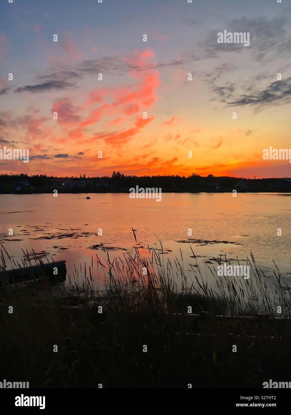 Sonnenuntergang über dem See mit langen Gräsern Stockfoto