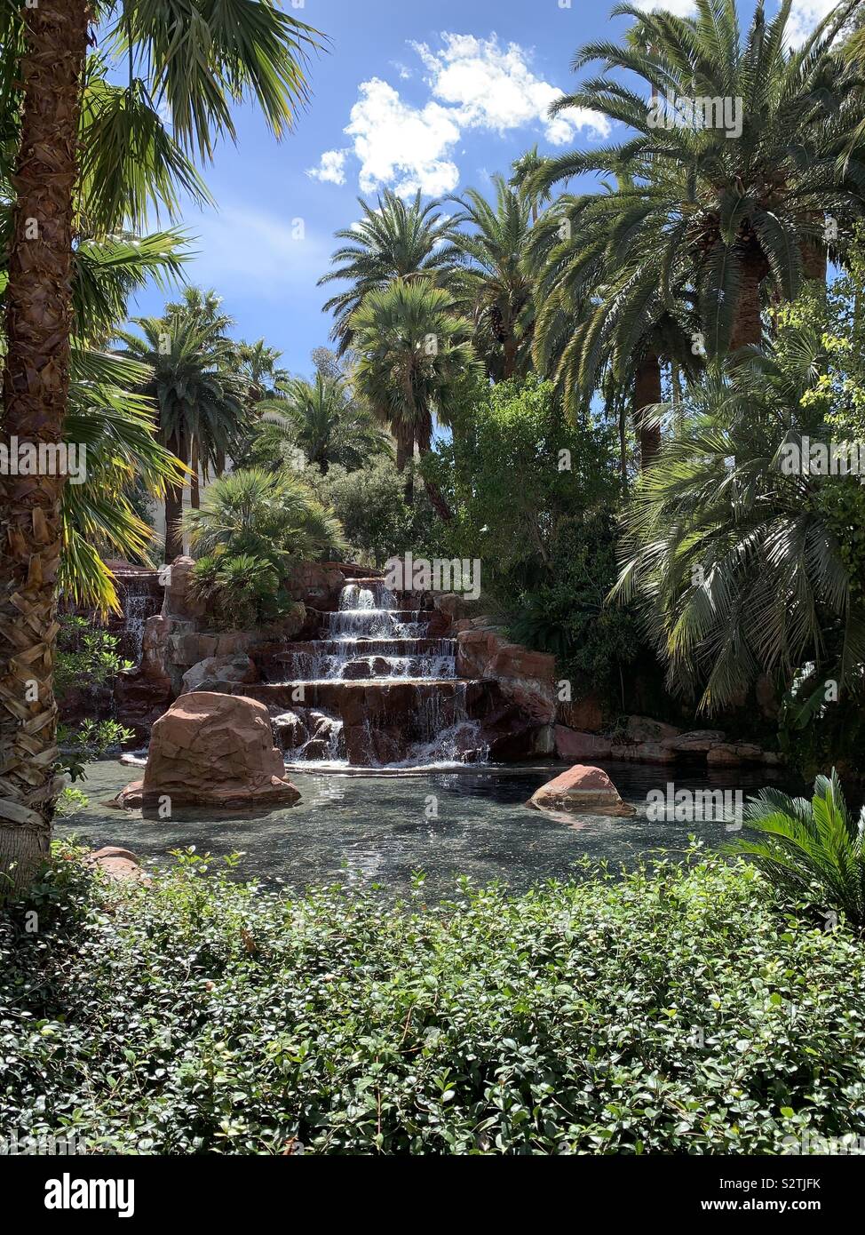 Im tropischen Garten mit Wasserfällen und Palmen Stockfoto