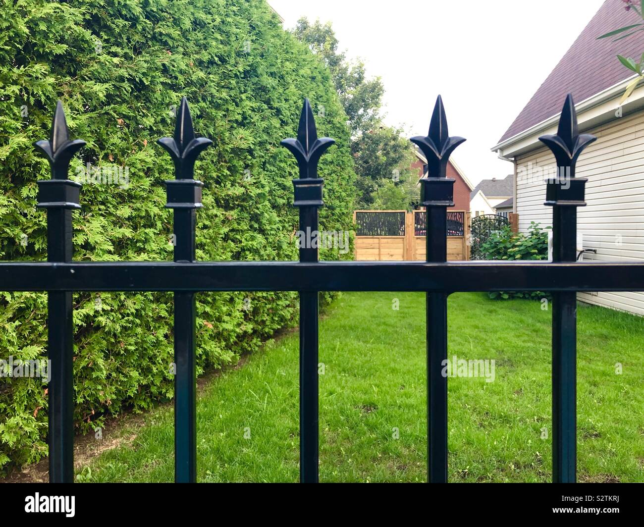 Schwarzes Eisen Zaun close-up - Gras und Häuser im Hintergrund - Smartphone-aufgenommenes Stockfoto