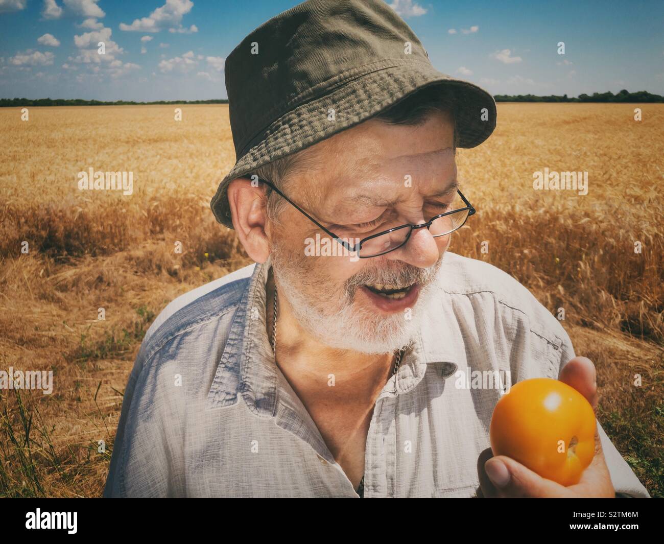 Outdoor Portrait von bärtigen älteren Landwirt lächelnd und bereit organische gelbe Tomate im Weizenfeld zu essen Stockfoto