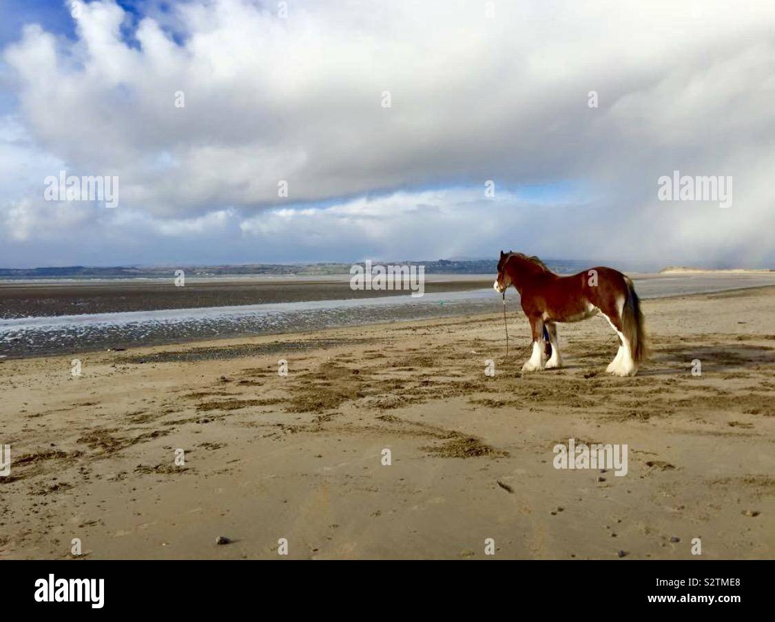 Reiten am Strand in Donegal Irland Stockfoto