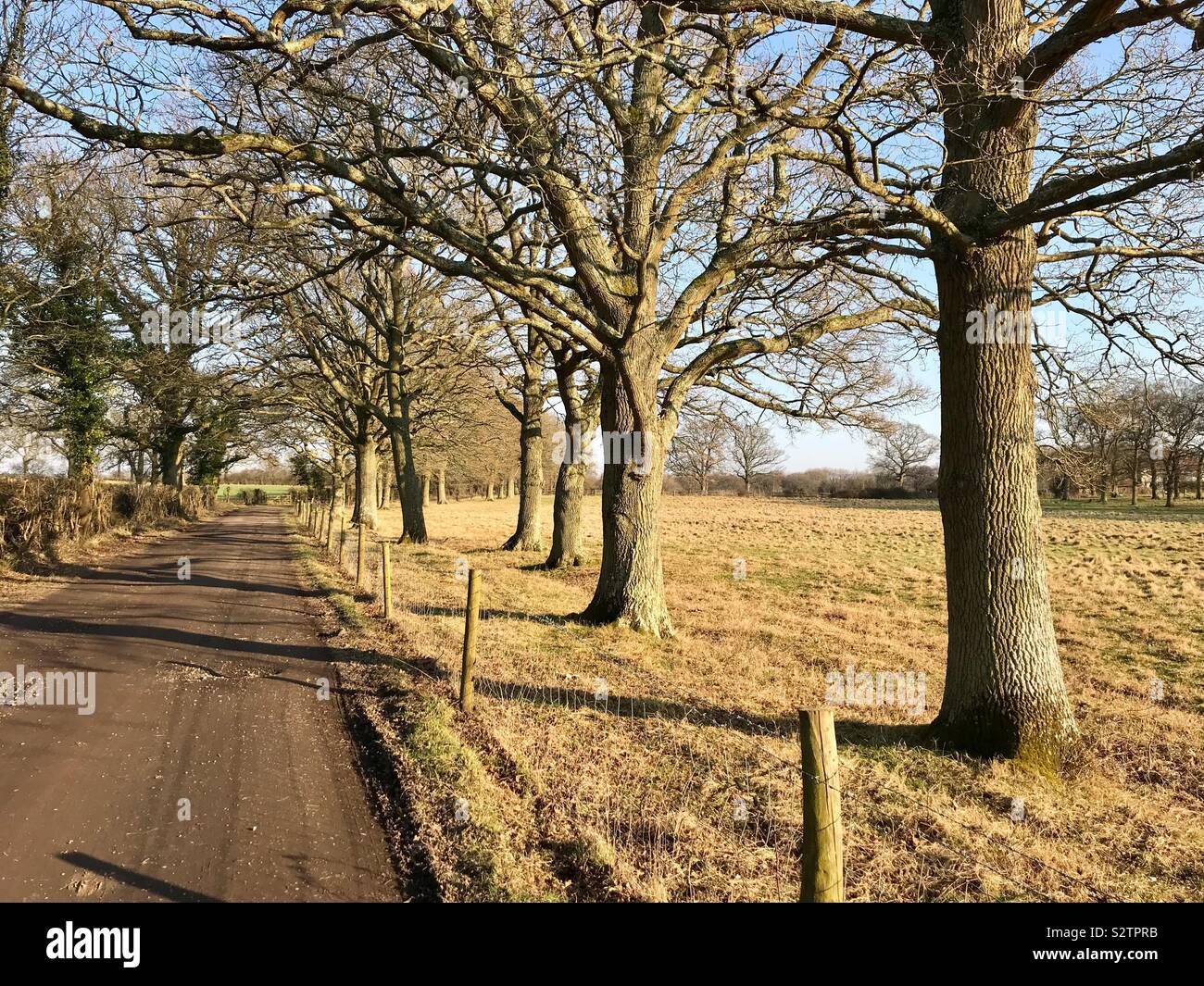 Winterlandschaft in England, Großbritannien Stockfoto