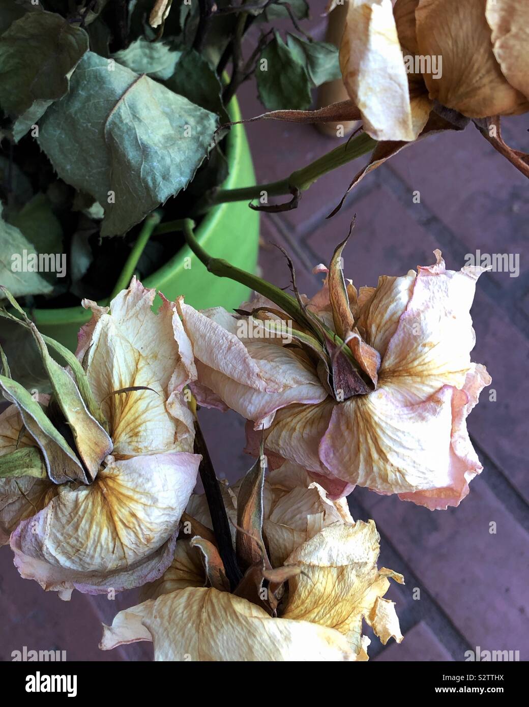 Getrocknete Blumen in eine Vase zu sitzen. Stockfoto