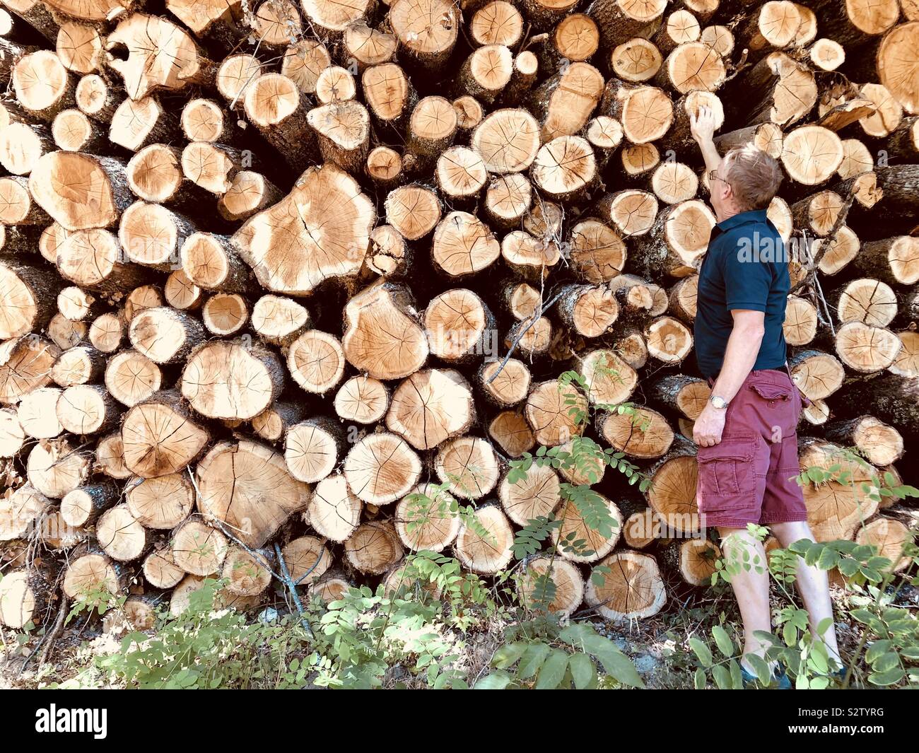 Große Stapel von Protokollen mit Mann, der vor - Smartphone-aufgenommenes Stockfoto
