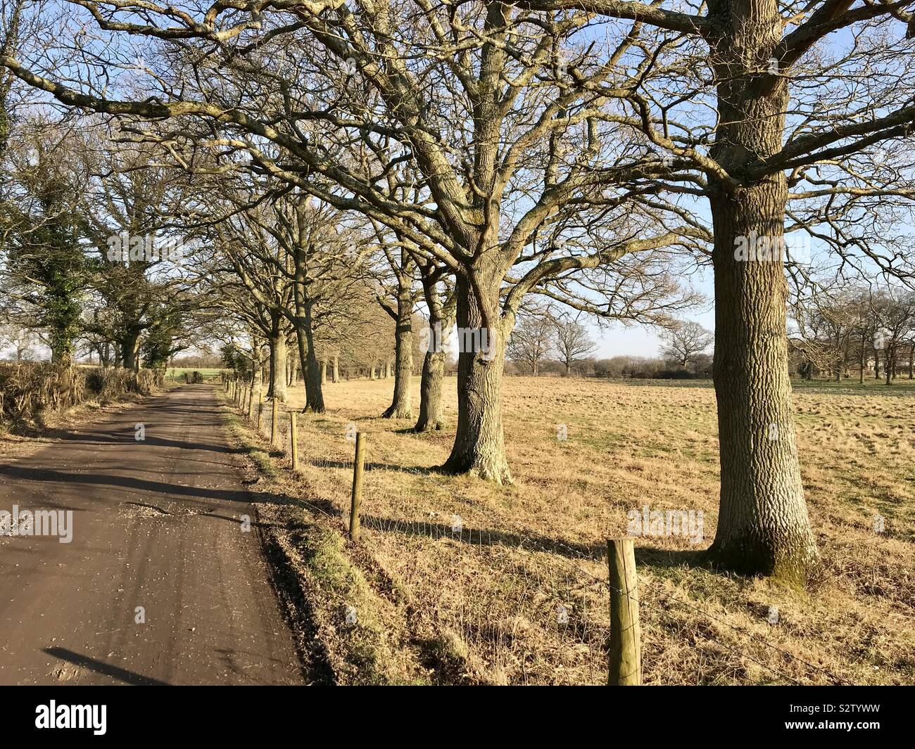 Sonnige englische Landschaft im Winter Stockfoto