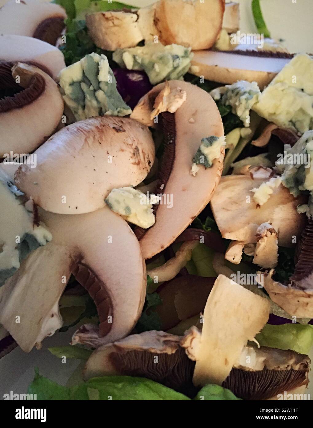 Nahaufnahme noch Leben von einem Salat mit Pilzen und Blauschimmelkäse bröckelt Stockfoto