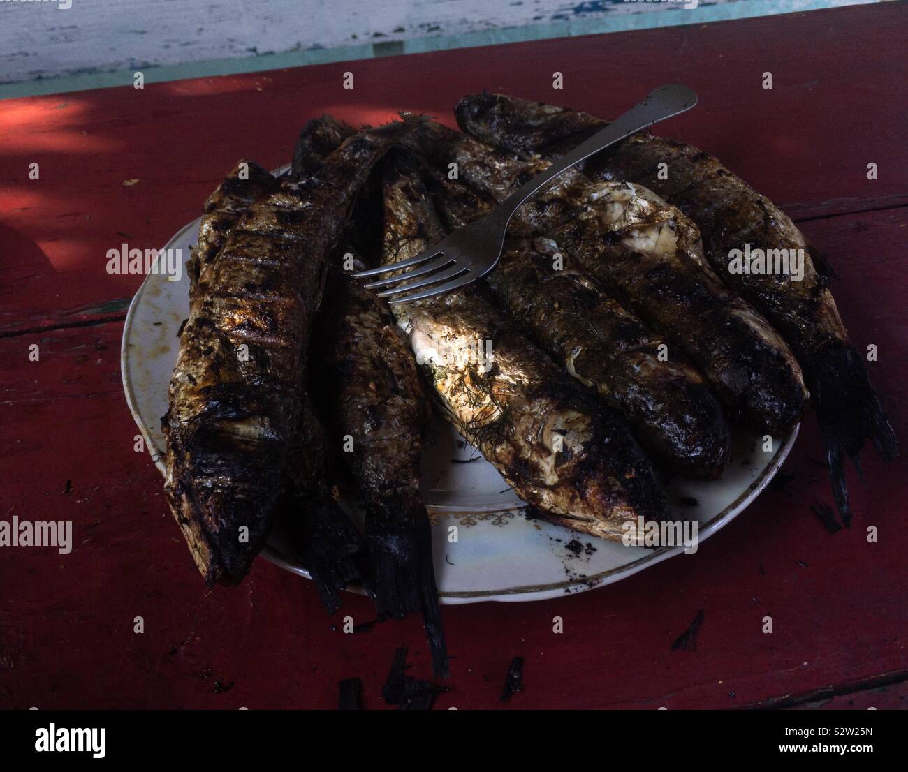 Im Sommer isst, gegrillten Fisch - Smartphone-aufgenommenes Stockfoto