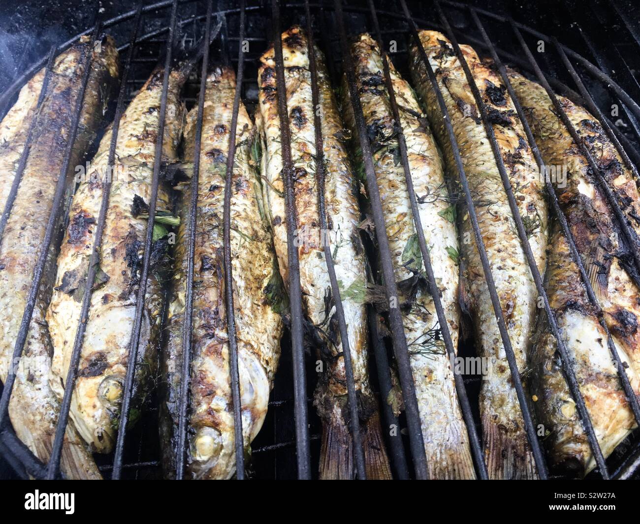 Im Sommer isst, gegrillten Fisch - Smartphone-aufgenommenes Stockfoto