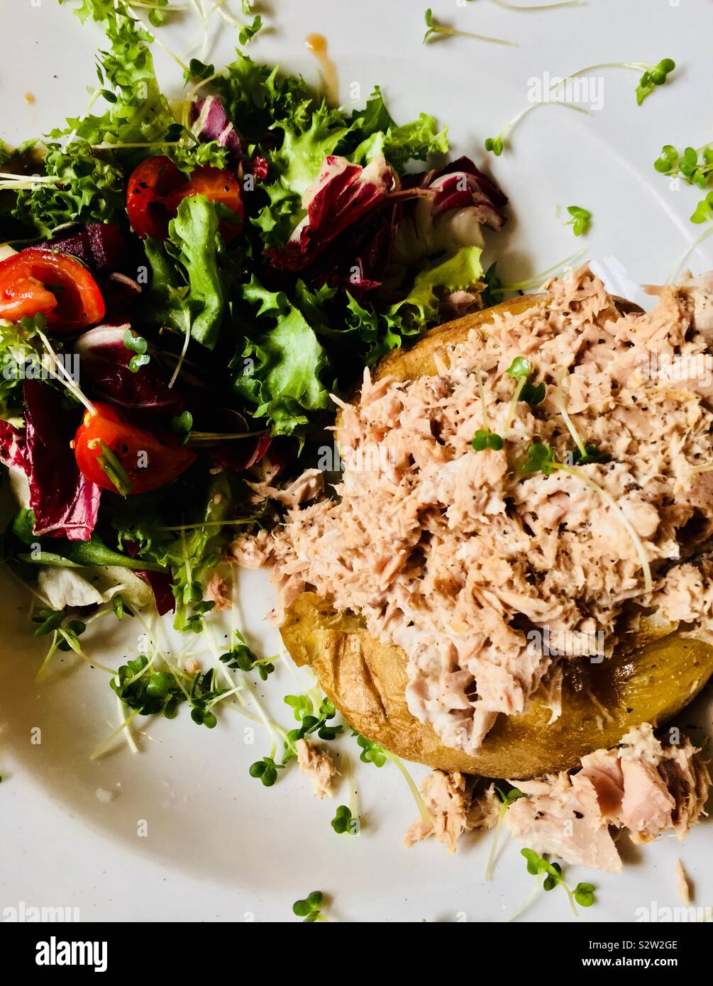 Jackett mit Thunfisch und einem farbenfrohen Beilagensalat, serviert auf einem weißen Teller - köstliche Backkartoffeln auf der Speisekarte Stockfoto