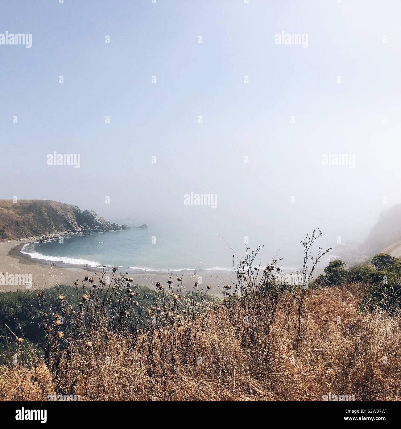 Fort Ross Cove im Nebel - Smartphone-aufgenommenes Stockfoto