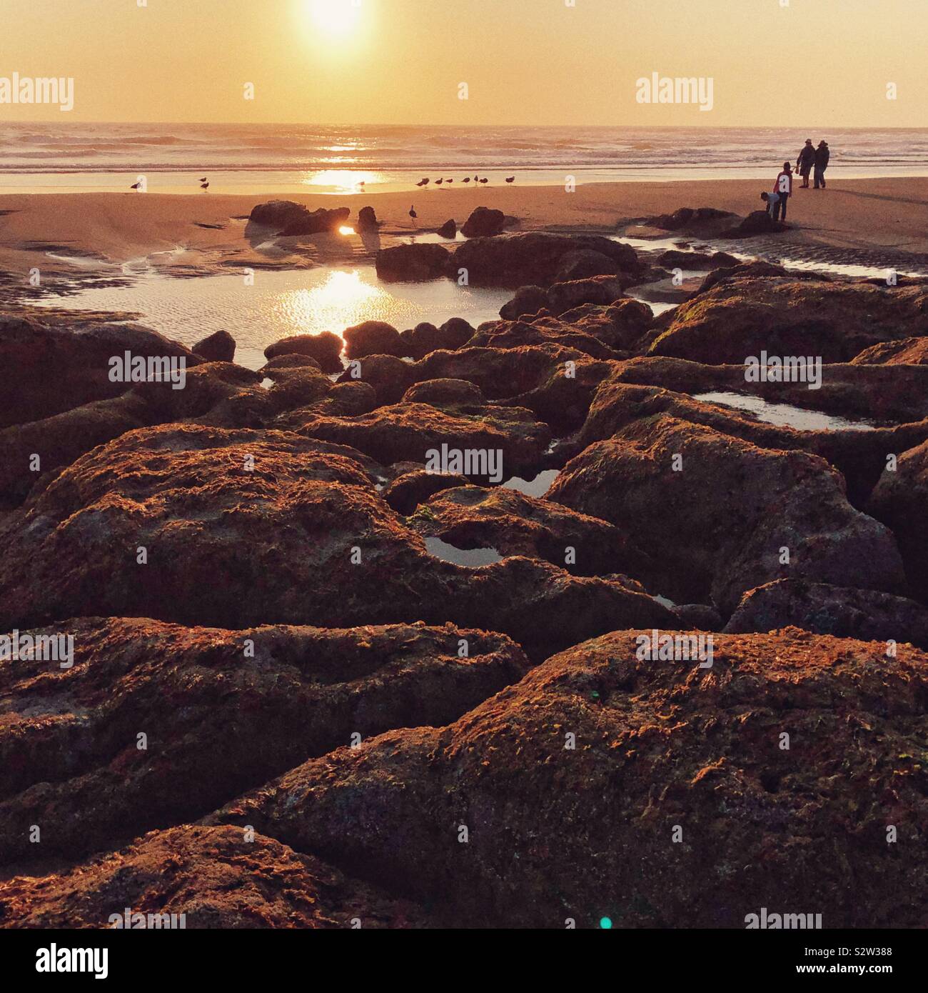 Schönen Oregon Küste bei Sonnenuntergang Stockfoto