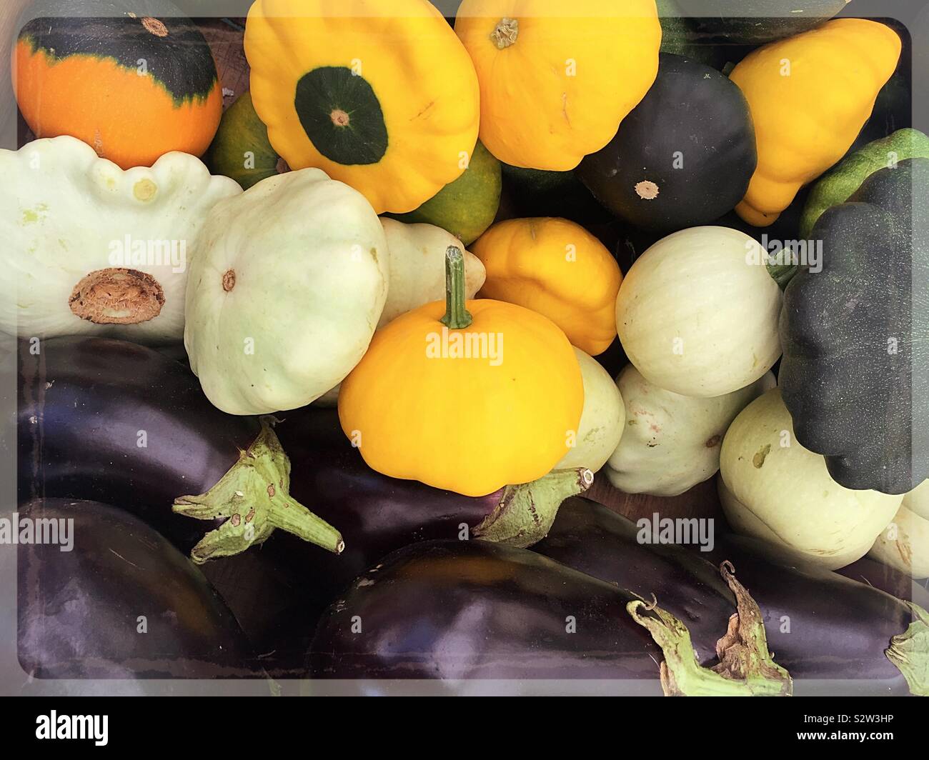 Nahaufnahme von Gelb, Grün und Weiß pattypan Squash und Auberginen in dem Gang, der ein Lebensmittelgeschäft Stockfoto