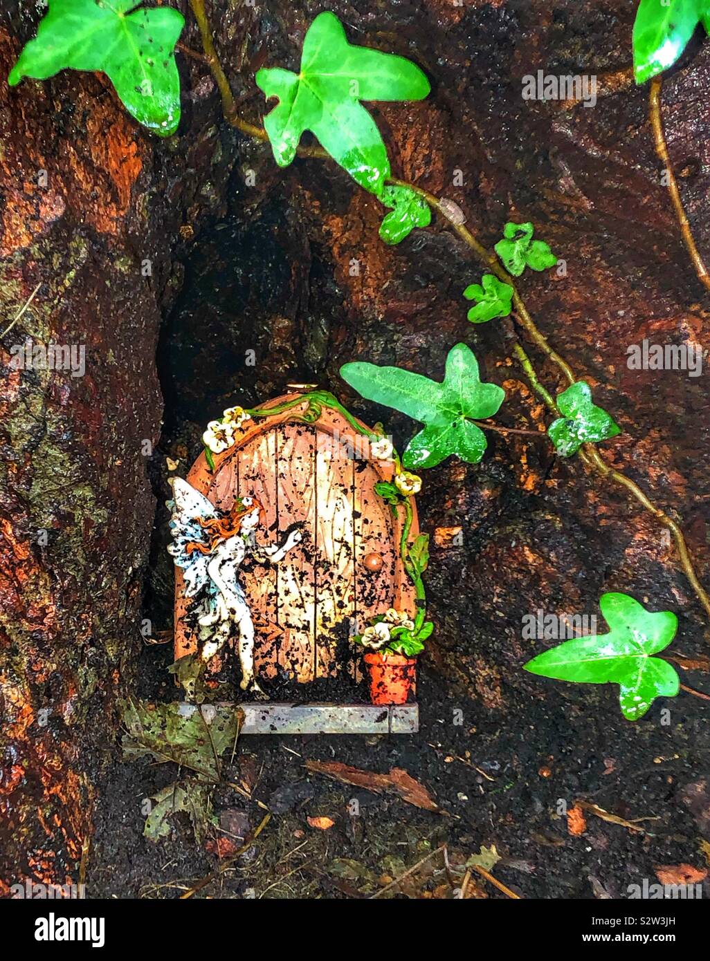 Feen in den Wald - Smartphone-aufgenommenes Stockfoto