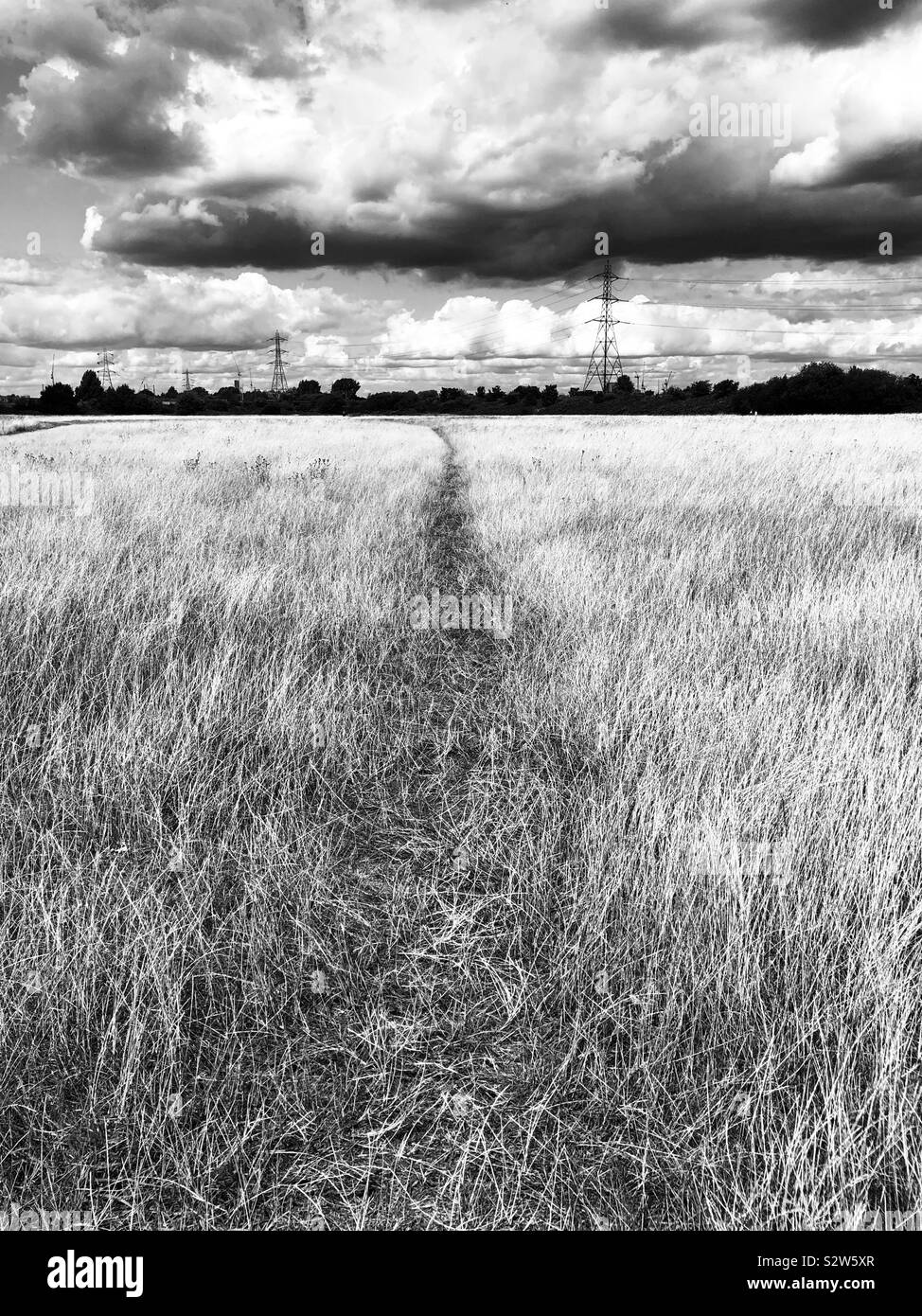 Dramatische Landschaft im Osten von London Stockfoto