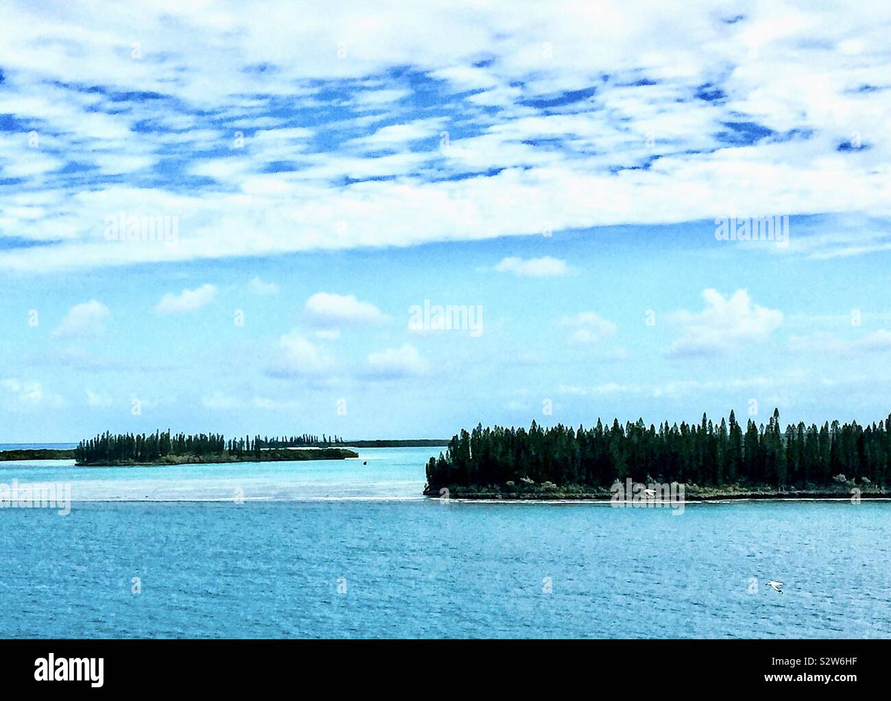 Die Isle of Pines ist eine französische Gebiet im Südpazifik. Die Insel ist für seine hohen Pinien und weiße Sandstrände bekannt. Stockfoto