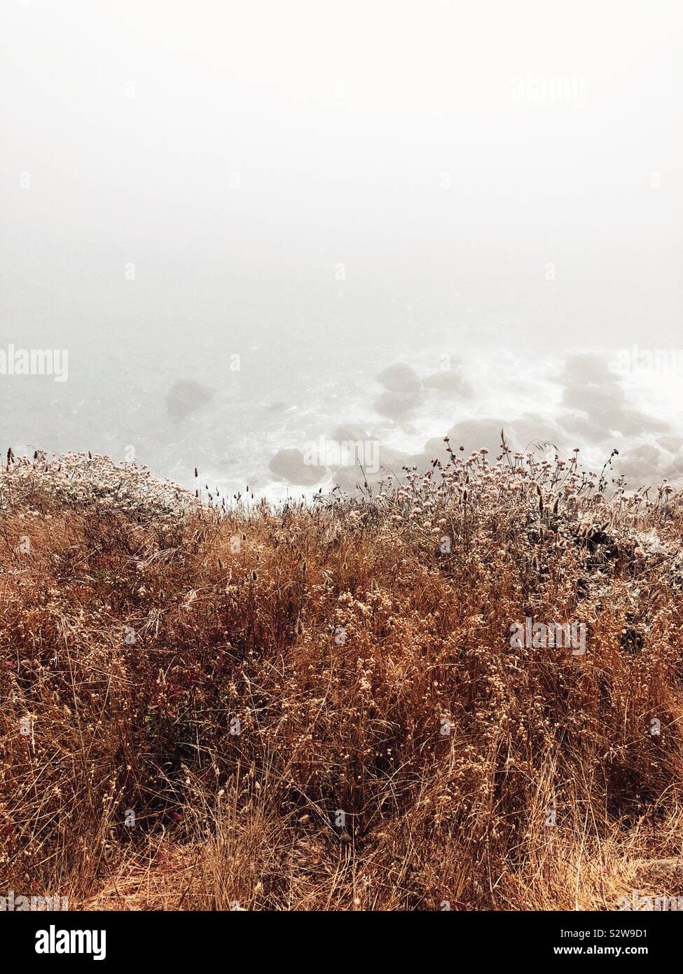Kalifornien Ozean Nebel - Smartphone-aufgenommenes Stockfoto
