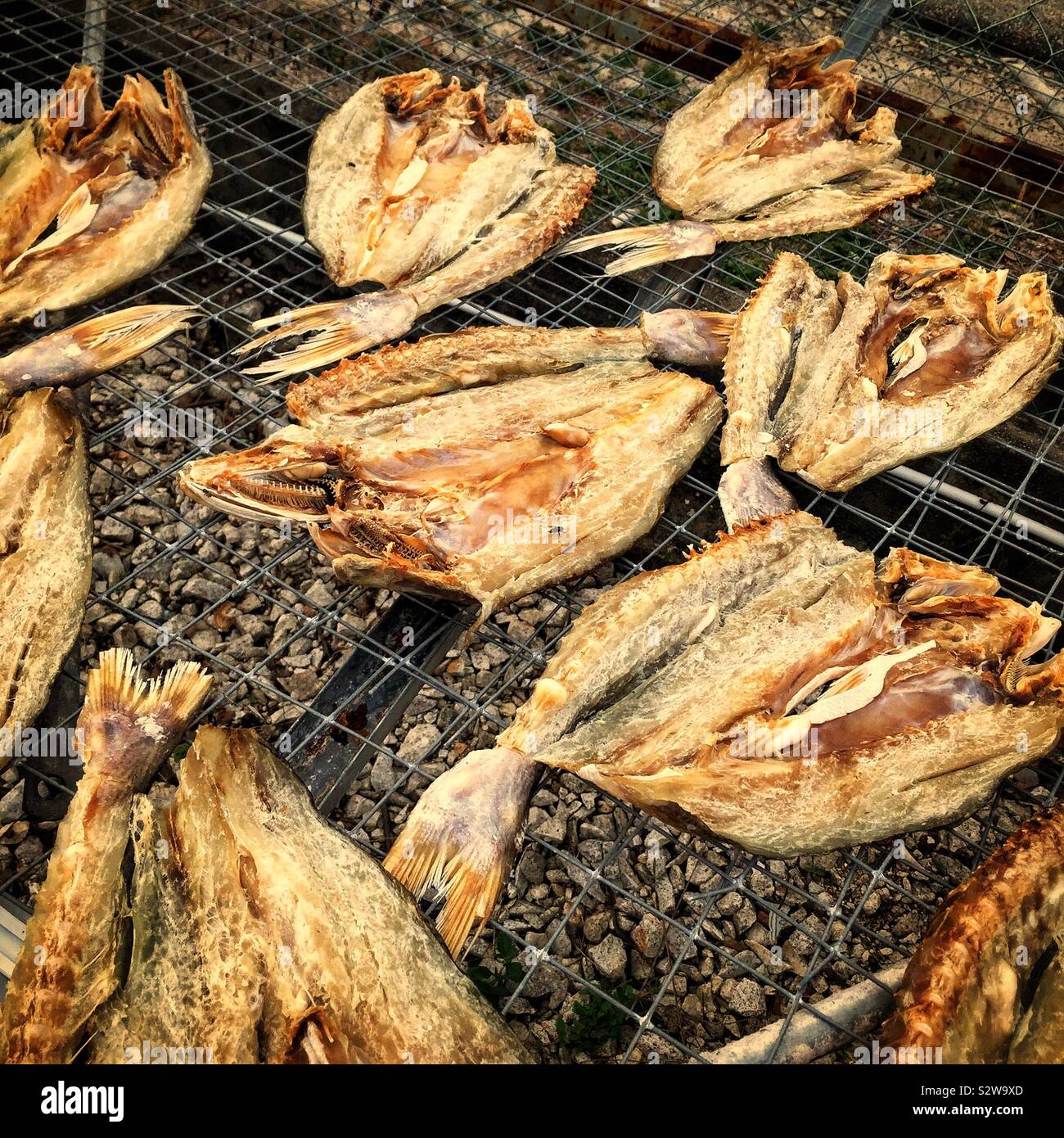 Fische trocknen auf Racks außerhalb eine getrocknete Meeresfrüchte shop, Teluk Senangin Strand, in der Nähe von Lumut, Perak, Malaysia Stockfoto