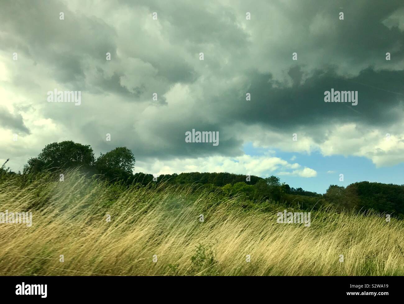 Stürmische Landschaft von Sussex in England, Großbritannien Stockfoto