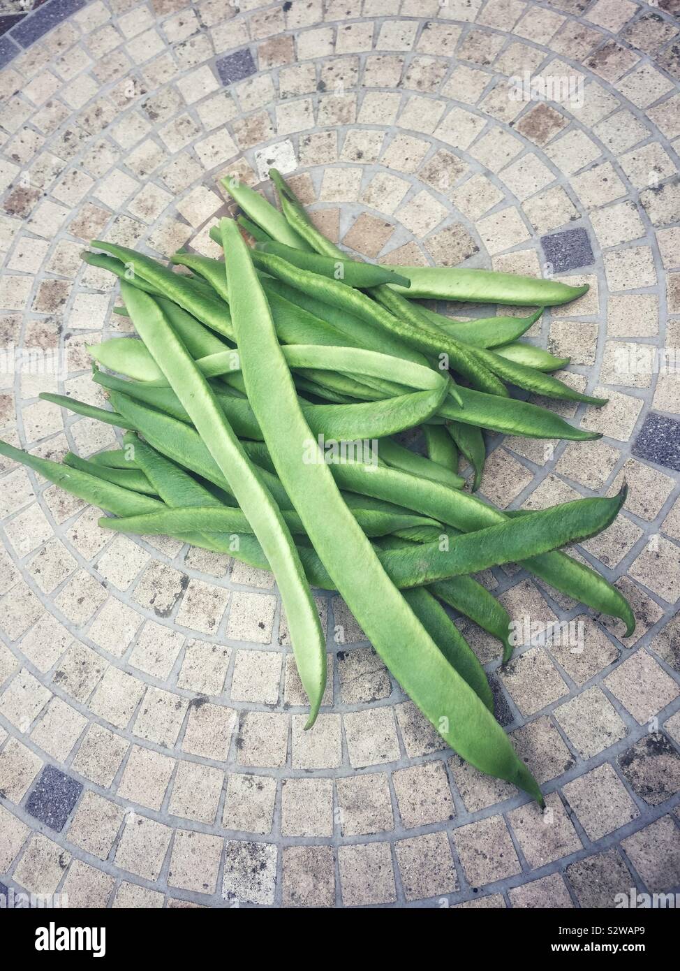 Stangenbohnen geerntet frisch aus dem Gemüsegarten auf Mosaik Tisch im Freien. - Smartphone-aufgenommenes Stockfoto