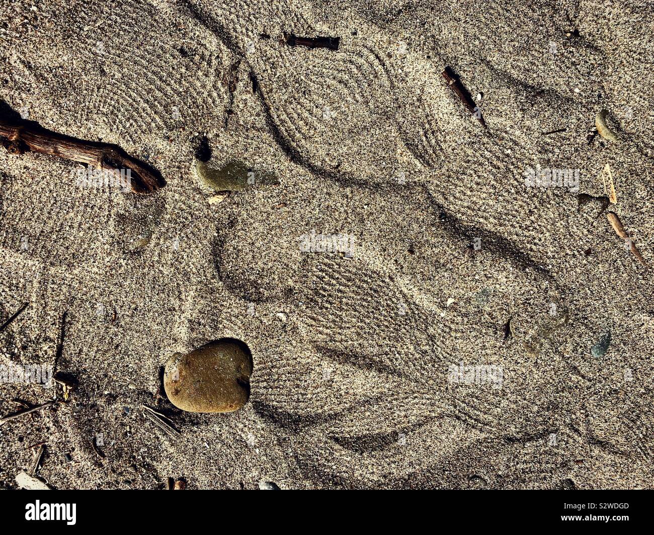 Kleine Muschel unter Fußspuren im braunen Sand Stockfoto
