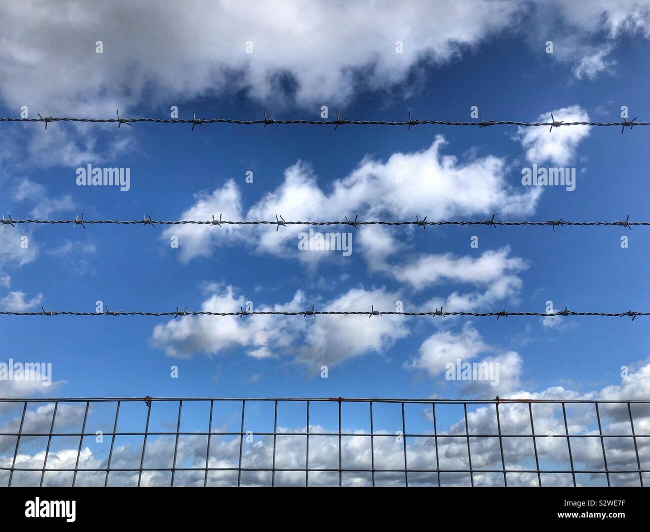 Stacheldraht und Metall Zaun gegen den blauen Himmel - Smartphone-aufgenommenes Stockfoto