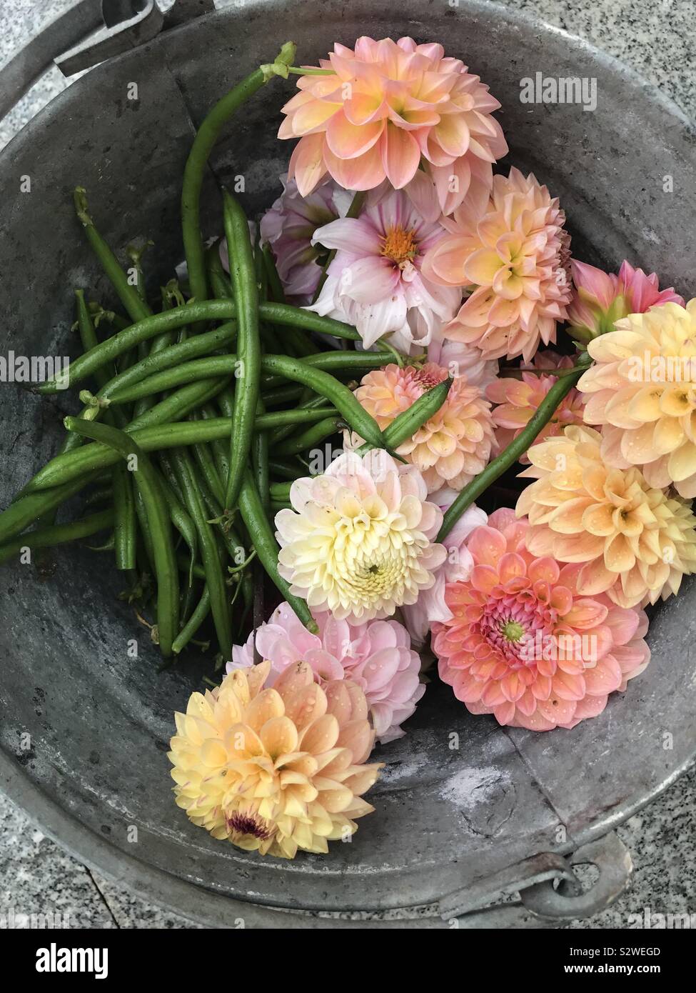 Organische Zuteilung - Smartphone-aufgenommenes Stockfoto