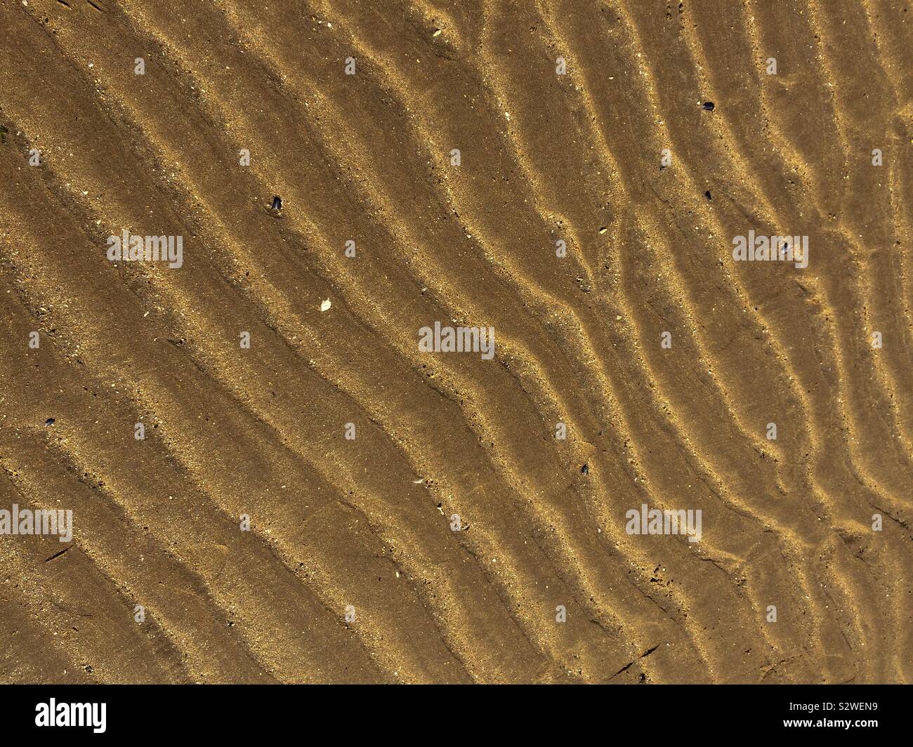 Kräuselt sich Sand Stockfoto