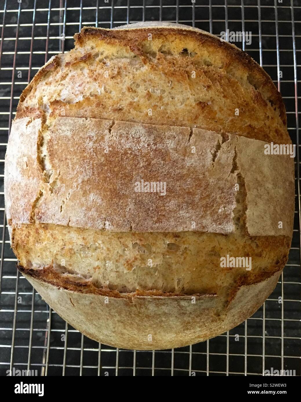 Hausgemachte Sauerteig Brot auf dem Kochen Rack Stockfoto