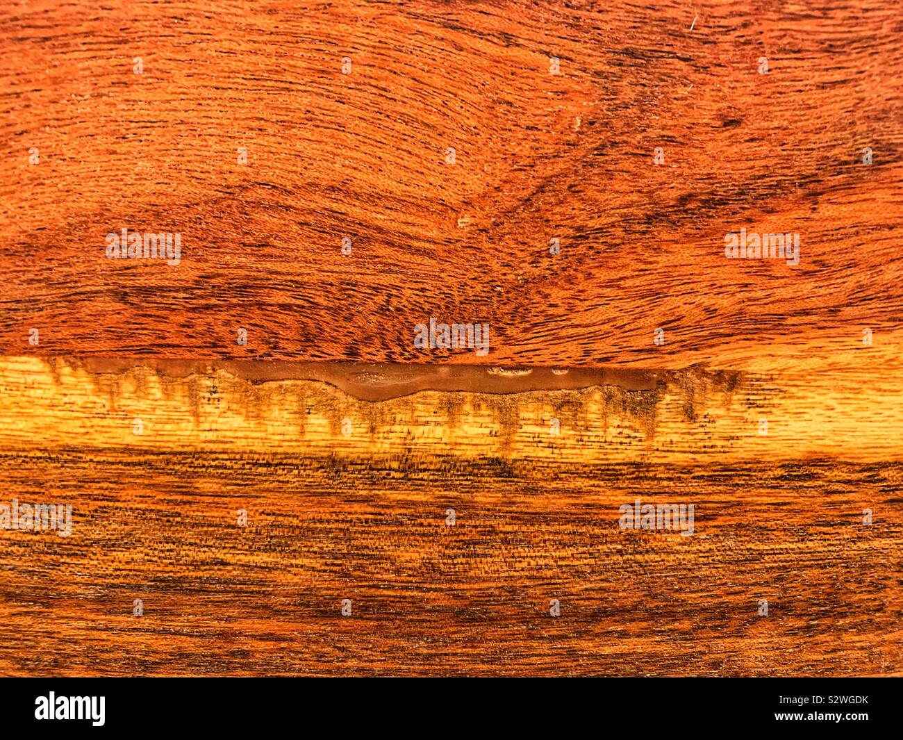 Schöne Akazienholz board fein bearbeitete an einem wunderschönen warmen Farbton. Stockfoto