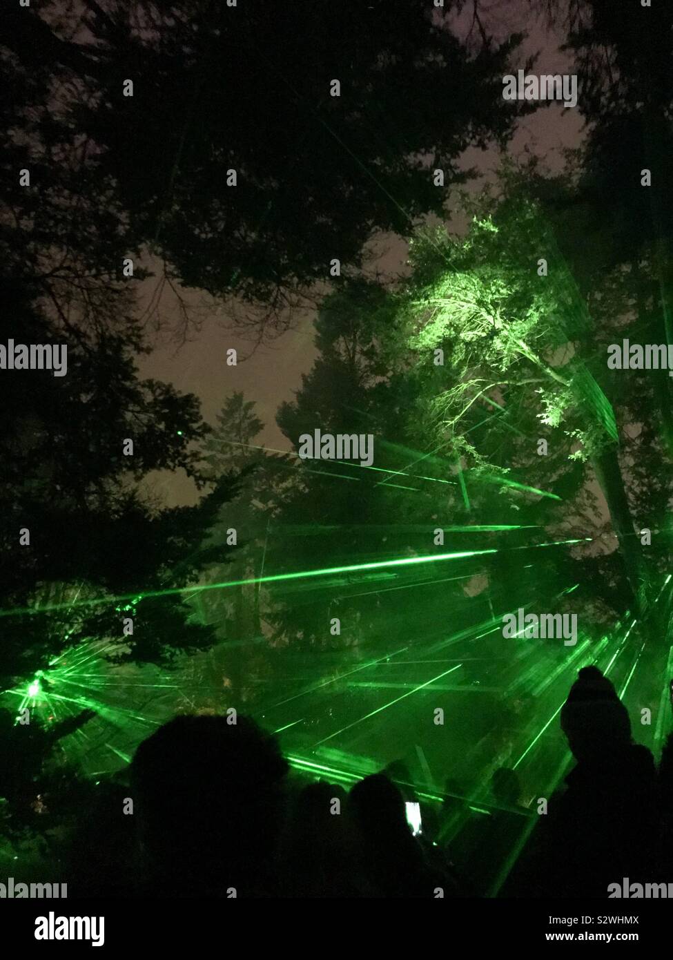Laser Display in Kew Gardens Weihnachten bei Kew beleuchtete Trail, 2018, London, UK Stockfoto