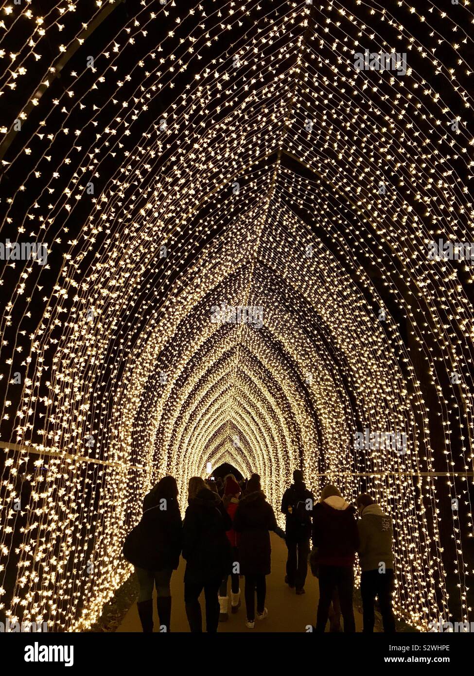 Kathedrale von Lichter in den Kew Gardens in Kew Weihnachten 2018, beleuchtete Trail, London, UK Stockfoto