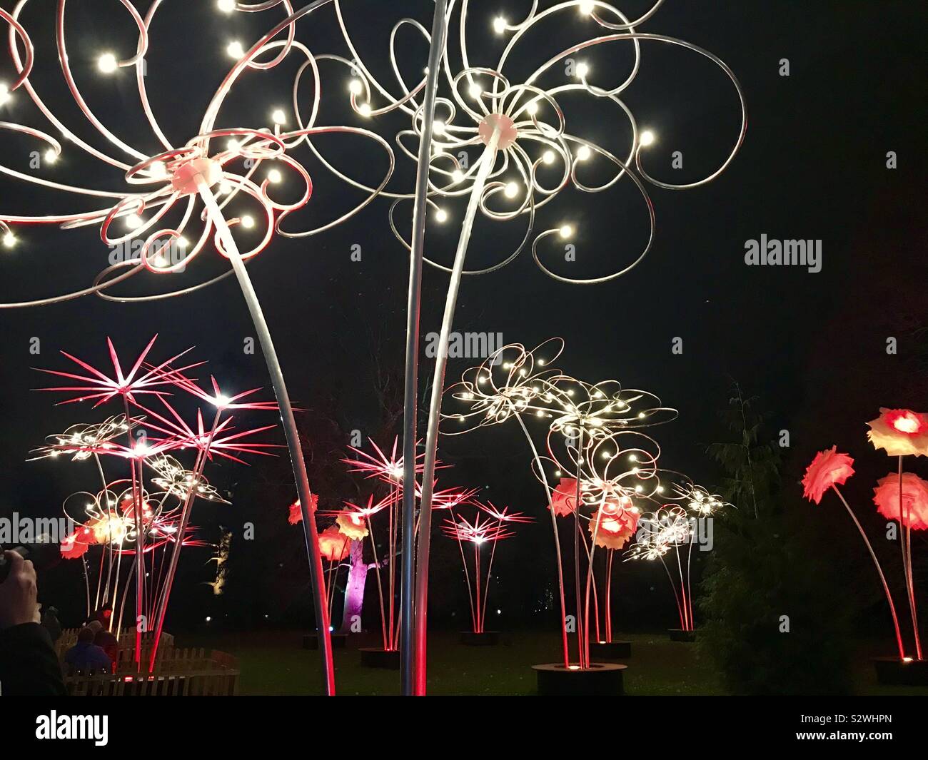 Blume Skulpturen in den Kew Gardens in Kew Weihnachten beleuchtete Trail, 2018, London, UK Stockfoto