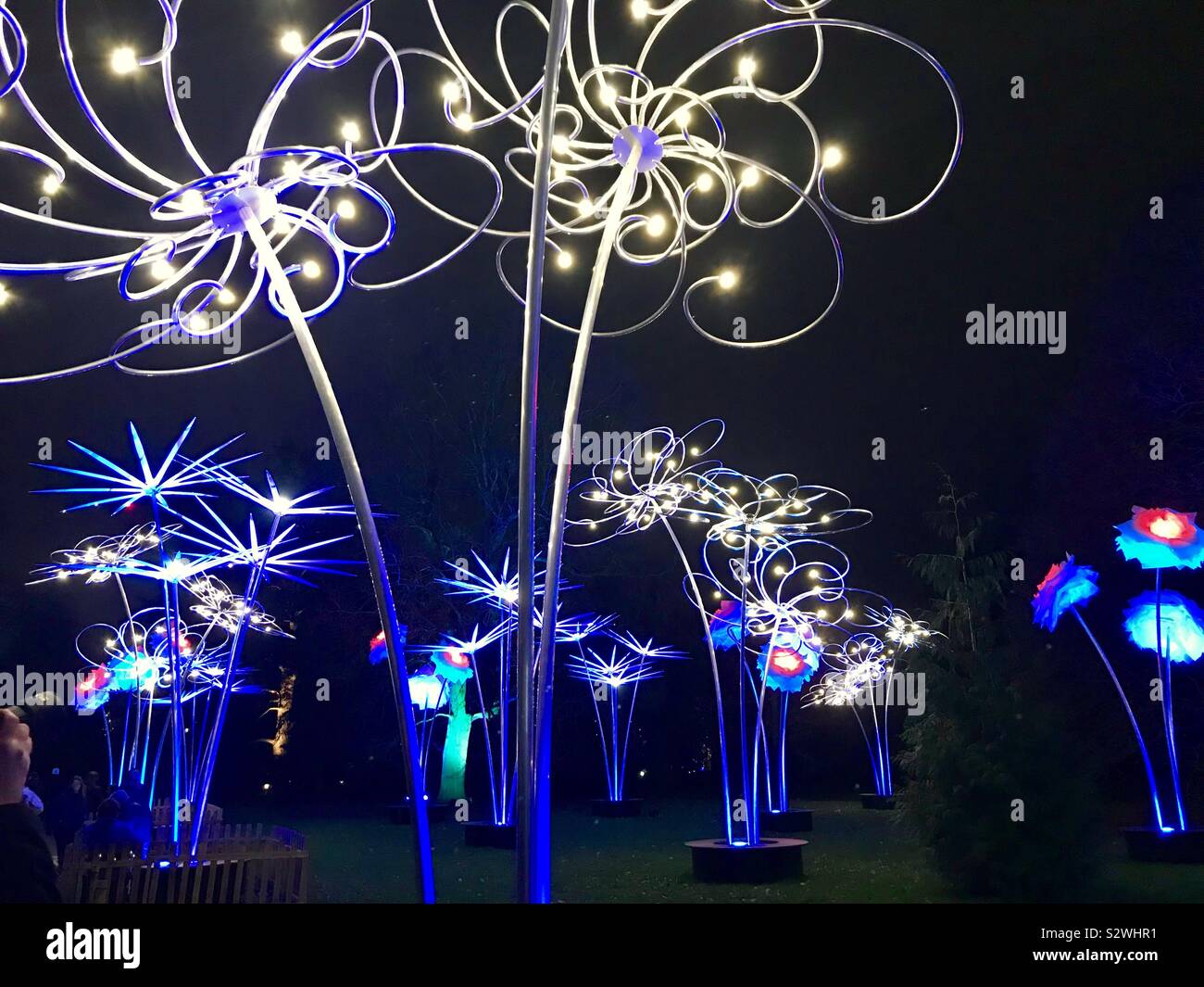 Beleuchtete Blume Skulpturen in den Kew Gardens in Kew Weihnachten beleuchtete Trail, 2018, London, UK Stockfoto