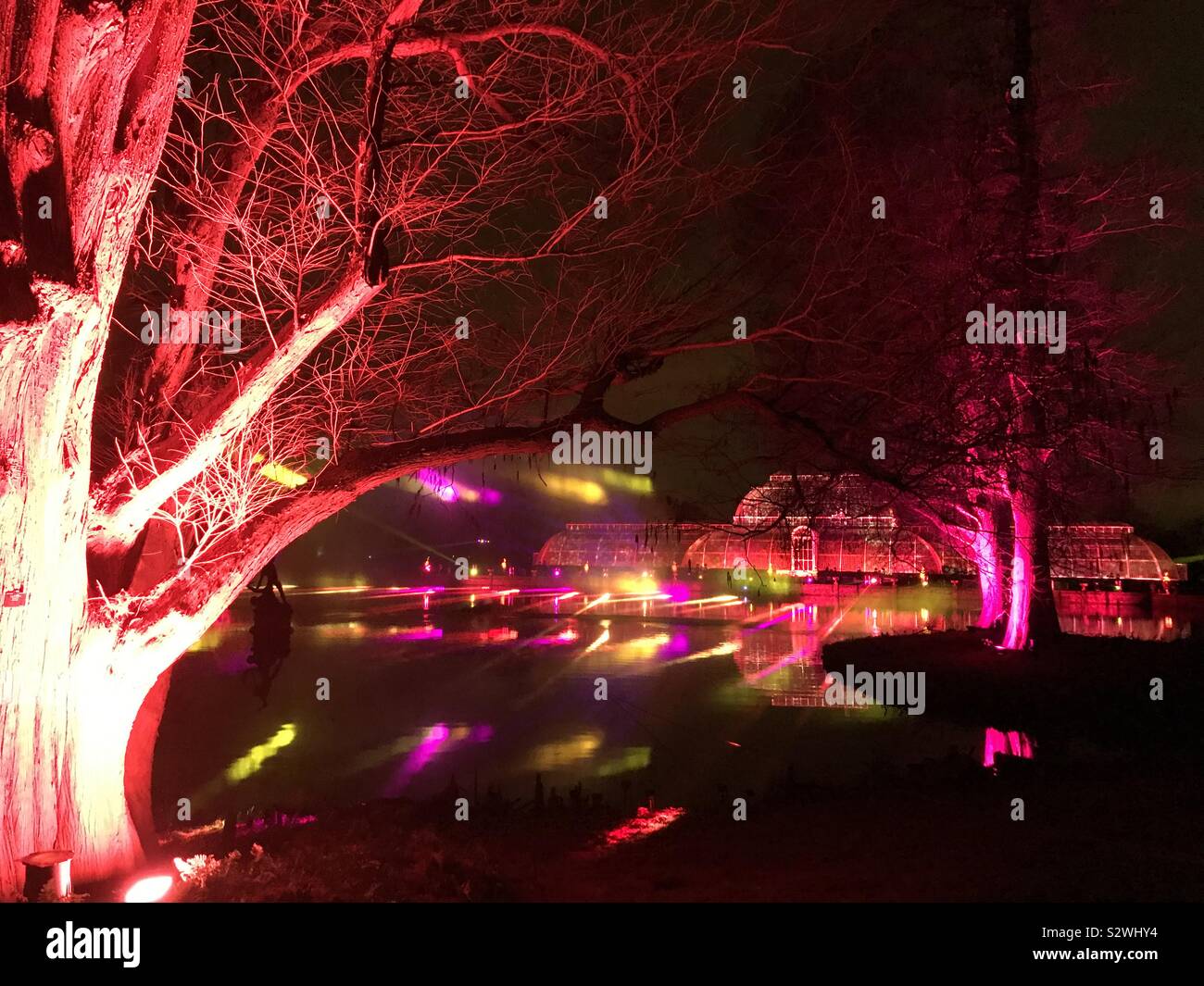 Laser Light Display über den See in Kew Gardens, Weihnachten bei Kew beleuchtete Trail, 2018, London, UK Stockfoto