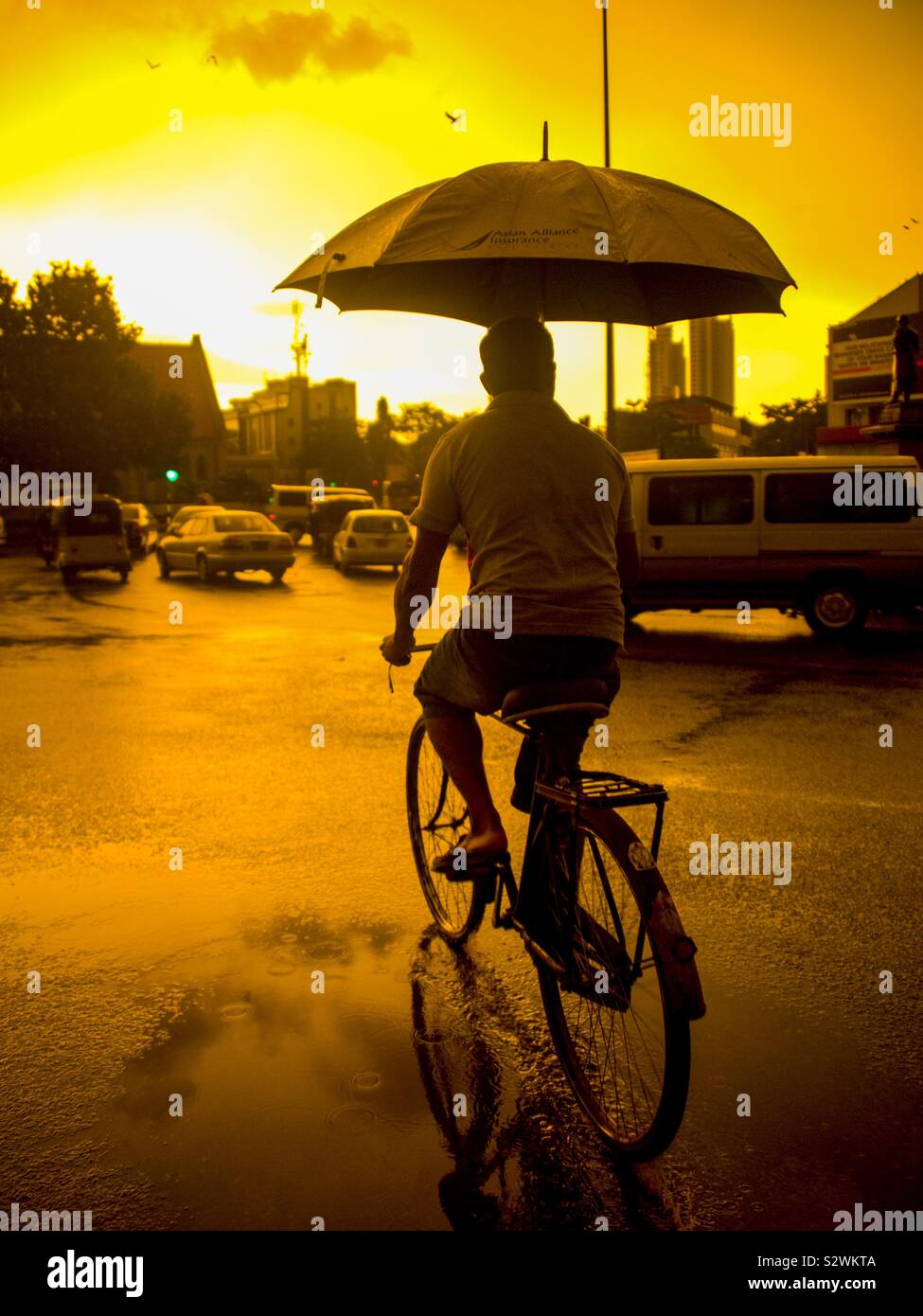Mann auf Fahrrad mit Schirm im Regen bei Sonnenuntergang Stockfoto