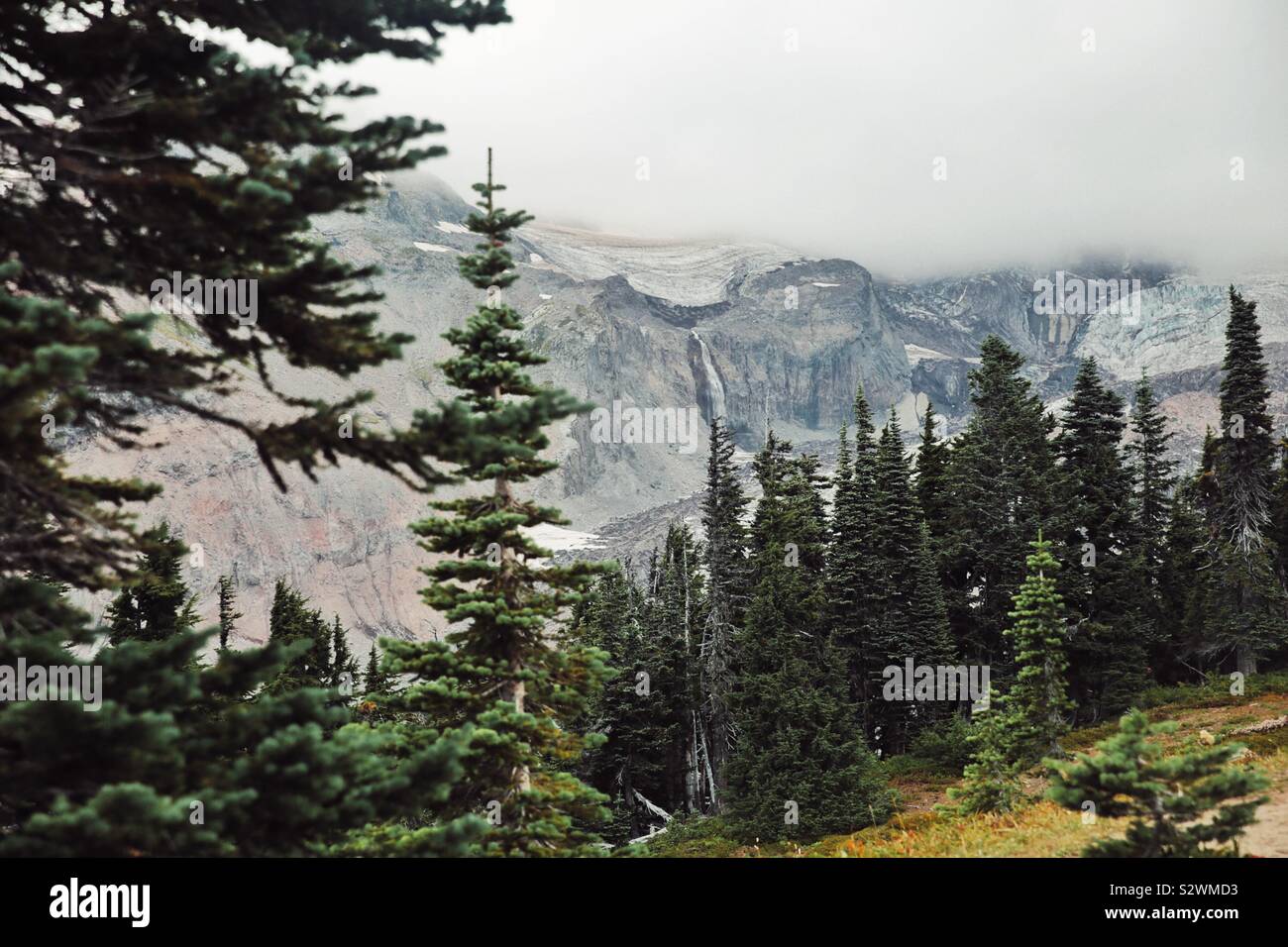 Nisqually Gletscher auf Südwesten Gesicht von Mt Rainier, WA Stockfoto