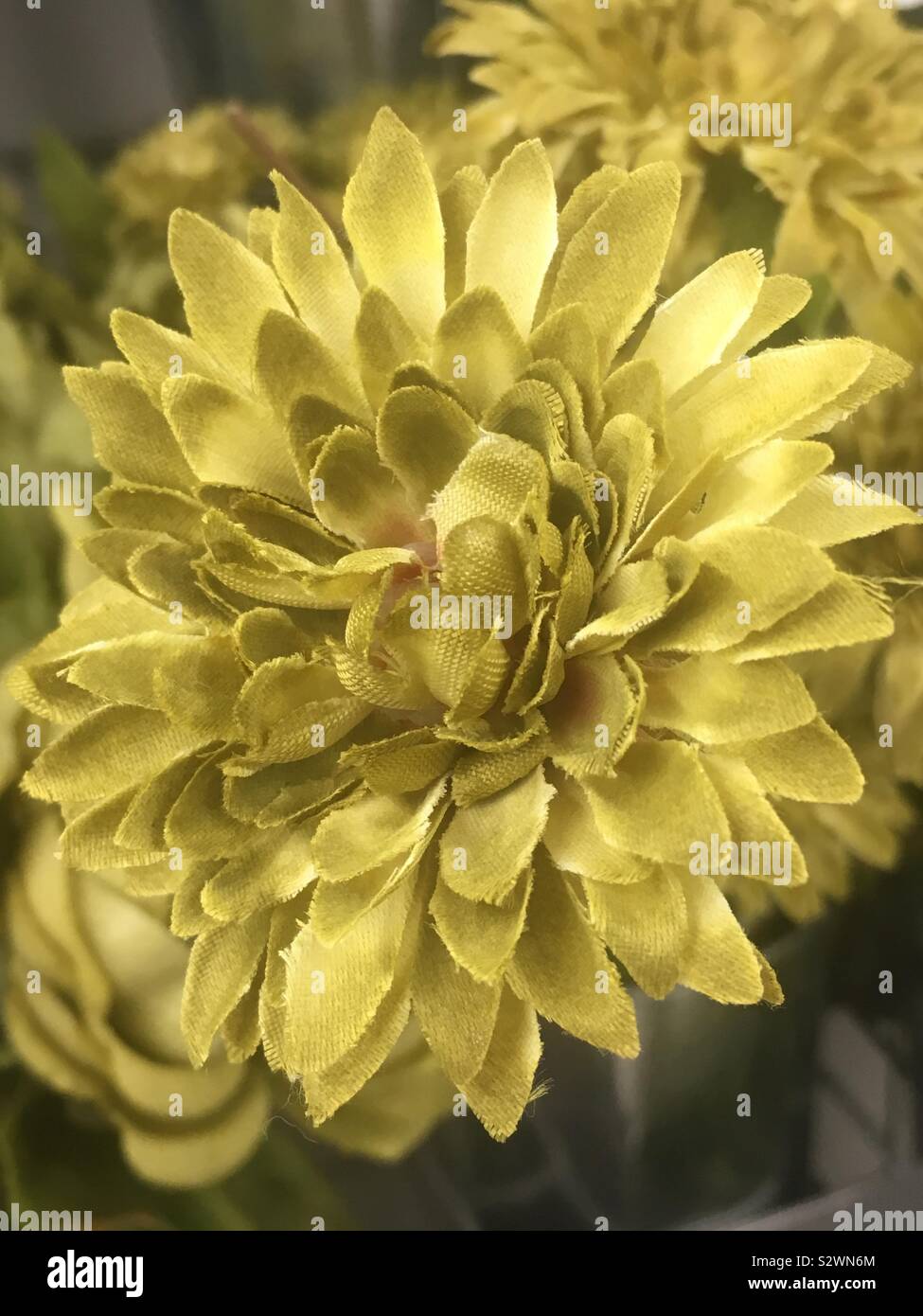 Gelbe Seide Blume Stockfoto