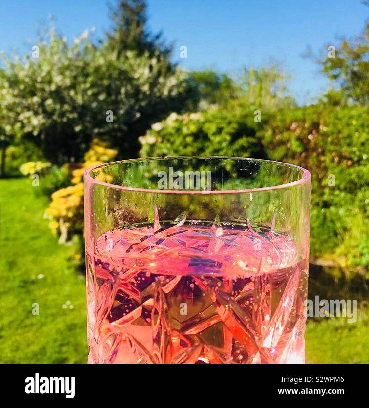 Pink Gin Stockfoto
