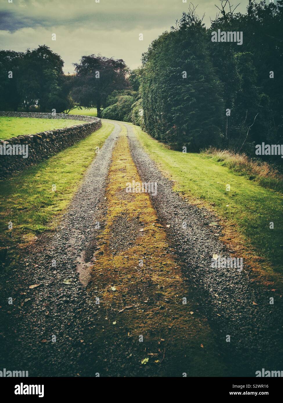 Straße, die in die Landschaft. Stockfoto