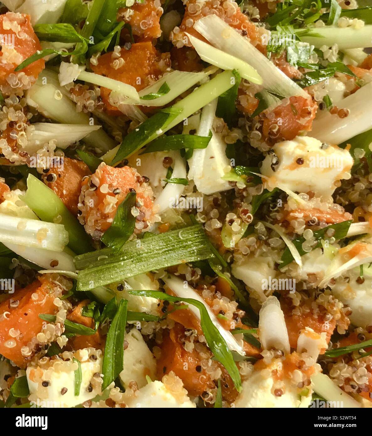 Süßkartoffel-Salat mit Estragon, Frühlingszwiebeln, Feta und Quinoa Stockfoto