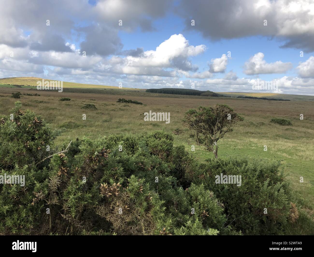 Ich genieße die ruhige Schönheit von Bodmin Moor, und dies ist nur ein Beispiel dafür. Die moorland porträtiert einen Sinn, wenn die Zugehörigkeit und Präsenz. Stockfoto