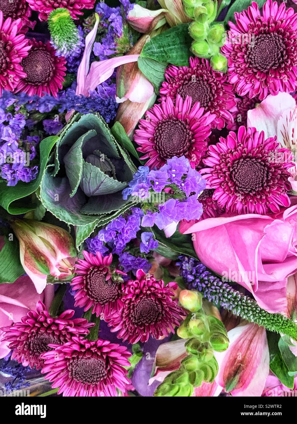 Schönen Blumenstrauß von frischem Sommer Blüten einschließlich lila Mamas, rosa Rosen und grünen Blättern. Stockfoto