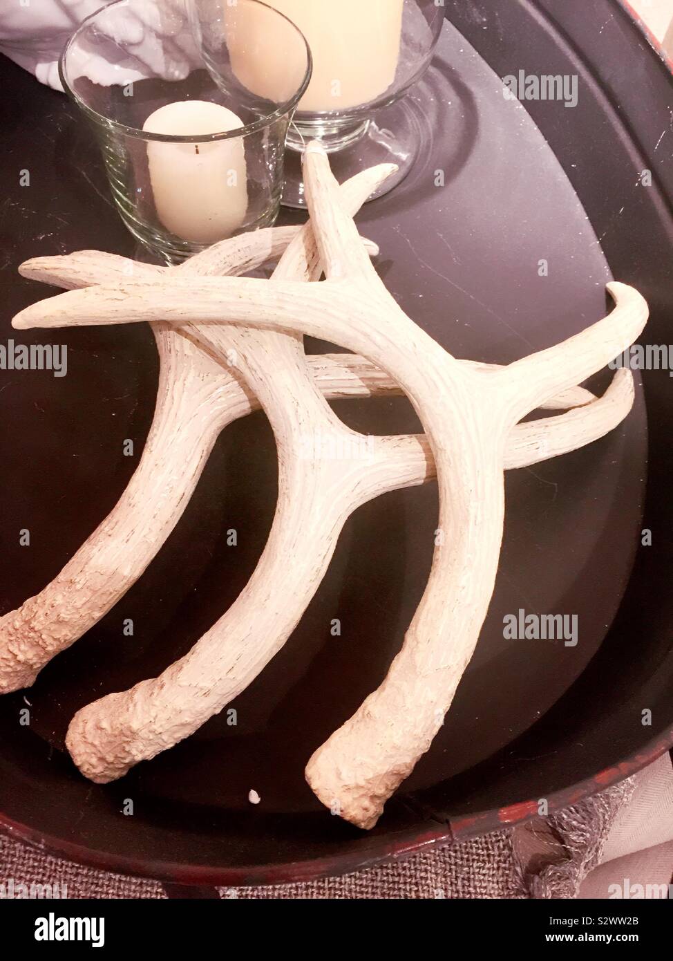 Dekorative Hirschgeweihe für Verkauf in einem Home Decor shop in New York City, USA - Smartphone-aufgenommenes Stockfoto