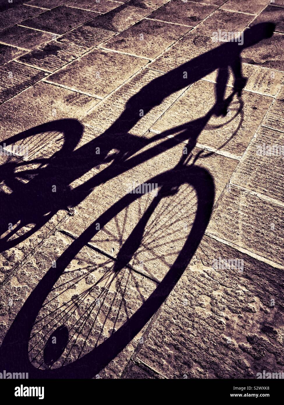 Die langen, dunklen Schatten eines Jungen auf seinem Fahrrad. Foto - © COLIN HOSKINS. Stockfoto